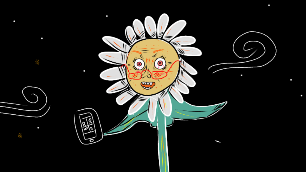card_img